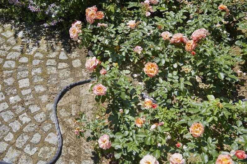 Gardena 18425-20 10 m hadice Liano se sprchou 18310 a šroubením - sada