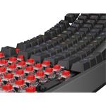 Genesis Thor 230 TKL, černá (Outemu Red), US
