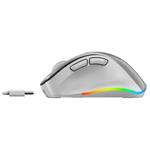 Genius Ergo 9000S Pro, strieborná