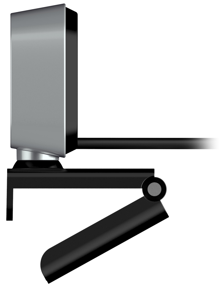 Genius FaceCam 2010