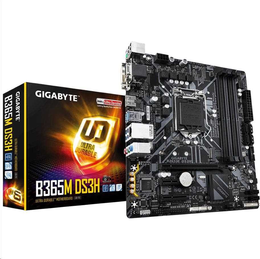 Gigabyte b365m h обзор