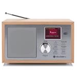 GoGEN DAB 620 BTCS, hnedý/strieborný GOGDAB620BTCS