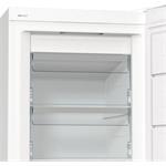 Gorenje FN619EAW6