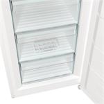 Gorenje FN619EEW5