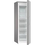 Gorenje FN619FES5
