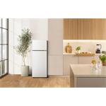 Gorenje RF414DPW4