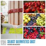 Güde OP 6 (30001)