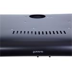 Guzzanti ZRW 60