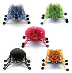 HEXBUG Ploštice