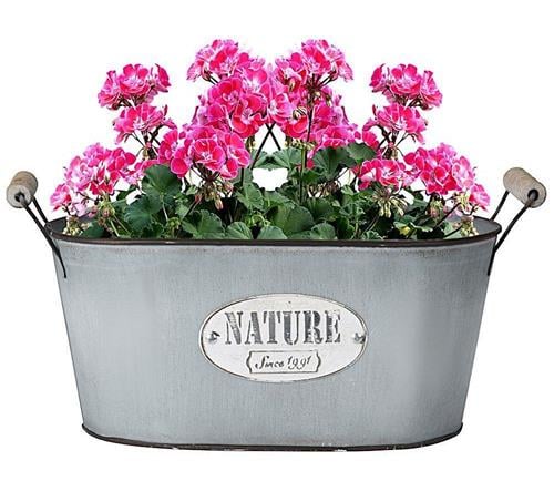 HOMESTYLING Květináč dekorativní NATURE 29,5 x 15 cm 