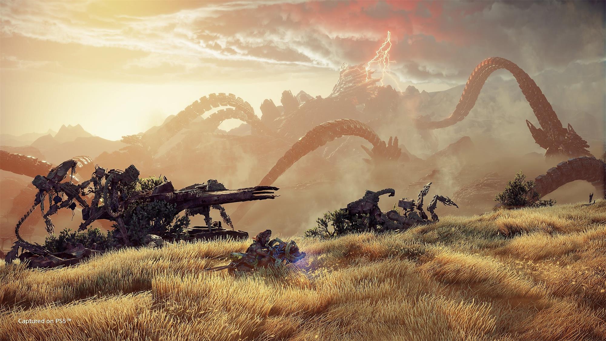 Horizon Forbidden West (PS5)