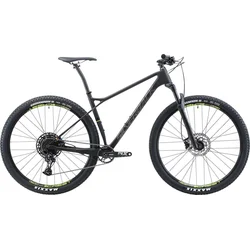 Horské kolo SILVERBACK 29" SuperSpeed Custom - Raw Carbon - vel.L