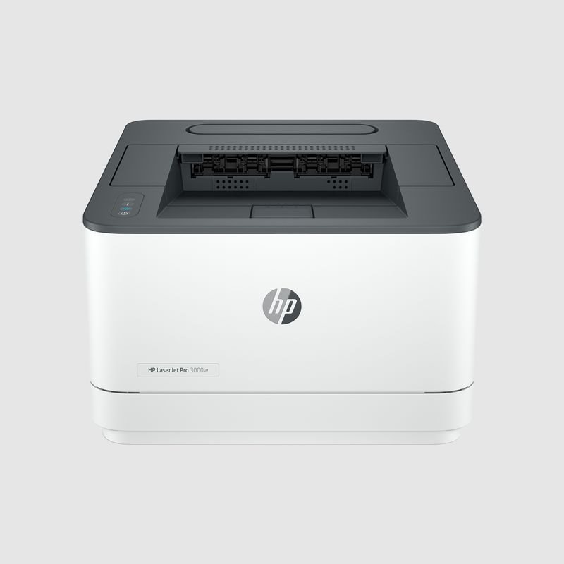 HP LaserJet Pro 3002dn (3G651F)