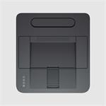 HP LaserJet Pro 3002dn (3G651F)