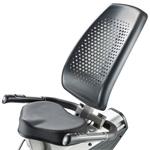 INSPORTLINE Recumbent Gemini R200