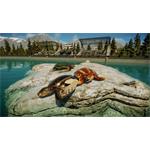 Jurassic World Evolution 2 Prehistoric Marine Species Pack