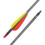 Karbónové šípy so skrutkovacím hrotom inSPORTline Carbison 30" 10ks