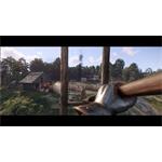 Kingdom Come Deliverance II