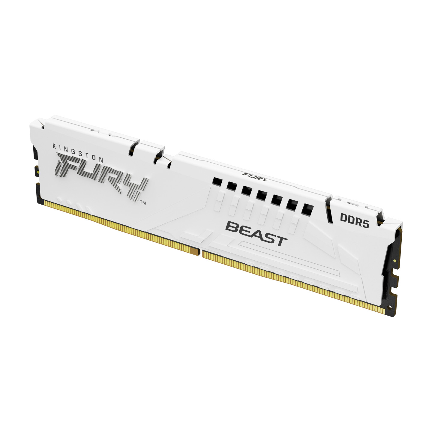 Kingston Fury Beast White DDR5 DIMM 32GB 6000MHz, AMD EXPO, biela (sada 2x 16GB)