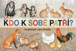 Kniha Kdo k sobě patří?