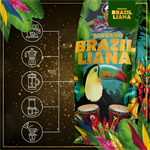 Kosatka modrá Brazilliana Toucano