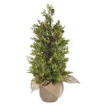 LED svítící stromek, 50 cm, venkovní i vnitřní, teplá bílá, časovač