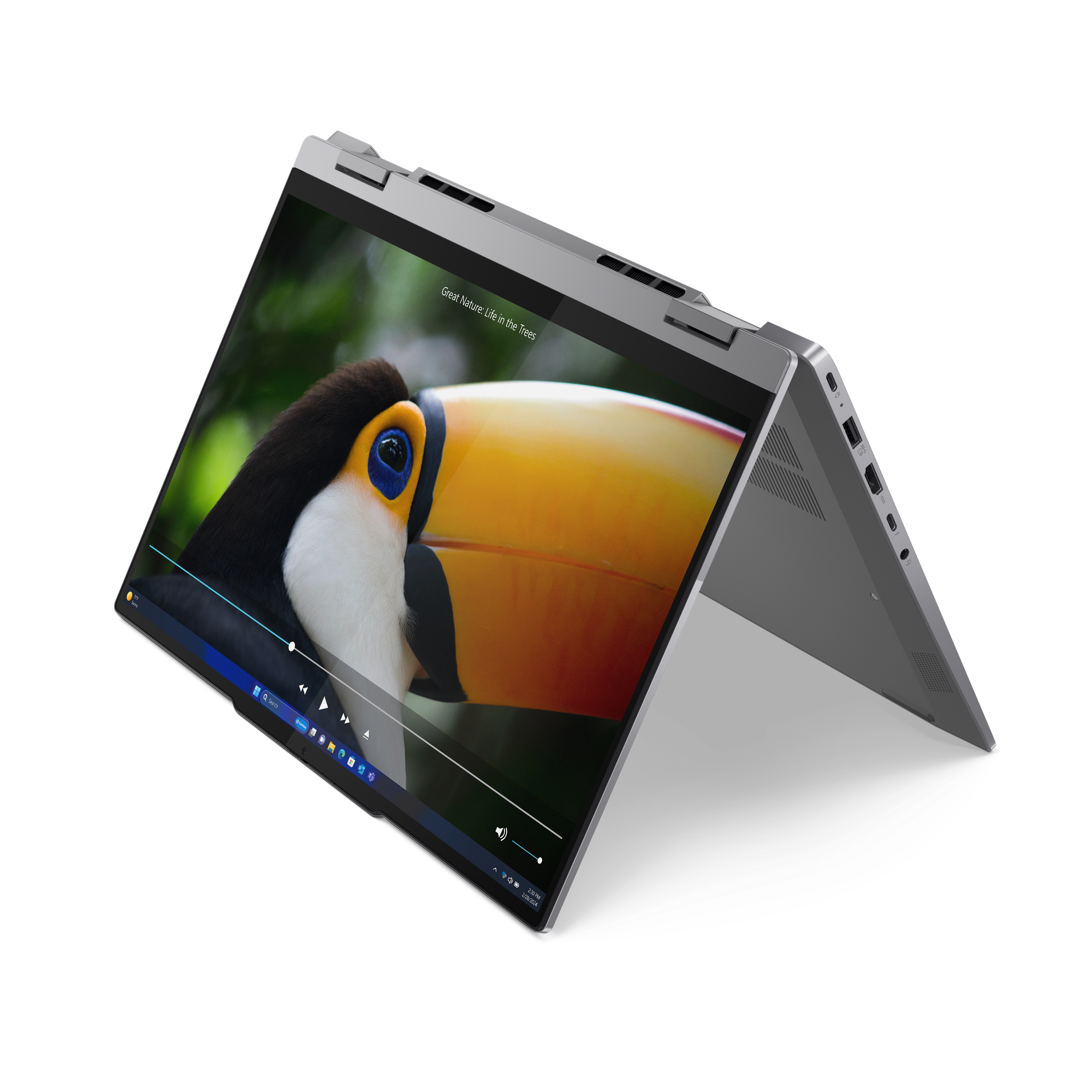 Lenovo ThinkBook 14 2 v 1 G4 IML Luna Grey (21MX000VCK)