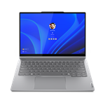 Lenovo ThinkBook 14 2 v 1 G4 IML Luna Grey (21MX000VCK)