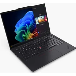 Lenovo ThinkPad T14s G6 (21M1001KCK)