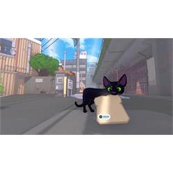 Little Kitty, Big City