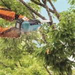 MAKITA Aku řetězová pila 250 mm Li-ion LXT 18V,bez aku Z