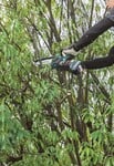 MAKITA Akumulátorová vyvetvovacia píla 150 mm Li-ion XGT 40V, bez batérie
