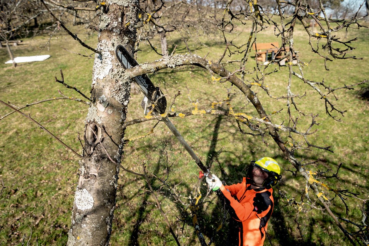 Metabo MA-MS 25 (601727850), bez aku