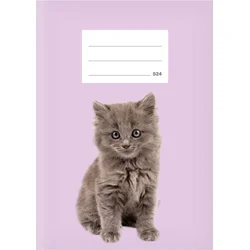 MFP Školský notebook A5 524