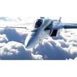 Microsoft Flight Simulator