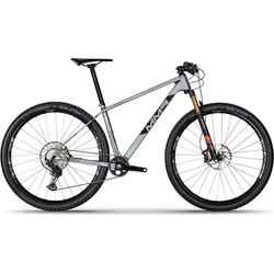 MMR 2020 29" Rakish 10 L/19" - titan/černá