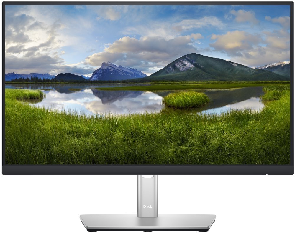 MO DELL Professional P2222H (210-BBBE)