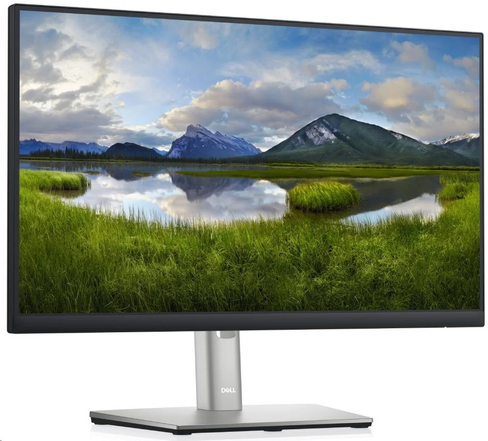 MO DELL Professional P2222H (210-BBBE)