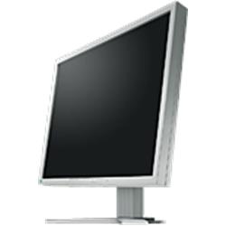 MO EIZO S1910 19˝ LCD 1000:1,8ms, DVI, USB TCO03