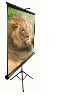 Mobilné rolety ELITE SCREENS. Obrazovka, statív, 100" (254 cm), 16:9