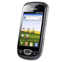 Mobilní telefon SAMSUNG Galaxy mini (Tass) VE (S5570i) Steel Gray