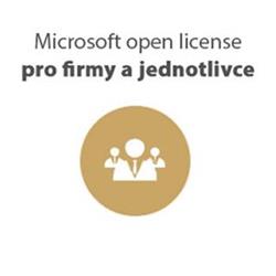 MS SQL CAL 2017 SNGL OLP NL UsrCAL (359-06557)