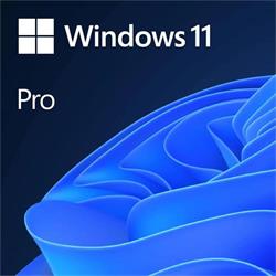 MS Windows 11 Pro