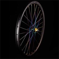 MTB PROTOTYPE World CUP SP 29" White Rainbow - 110/148 Boost, HG orech