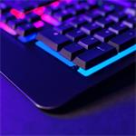 Niceboy ORYX K210 core