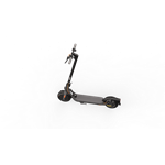 Ninebot by Segway® Kickscooter F30E