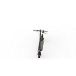 Ninebot by Segway® Kickscooter F30E