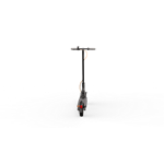 Ninebot by Segway® Kickscooter F40E
