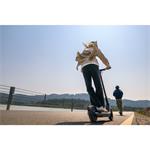 Ninebot KickScooter E2 Pro E by Segway