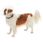 Obojok Buster Classic 12,5 cm